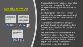Decellularization
• First decellularization was done to develop
acellular heart from mice by using
retrograde coronary perfusion at constant
pressure.
• Decellularization – removal of cellular
material while preserving vascular network ,
ECM composition, and 3D architecture of
native tissue.
• Liver decellularization used antegrade
perfusion through portal vein at constant
flow rate which obtained the translucent
acellular tissue.
• The first successful decellularization of a
human liver was done by using a novel
retrograde, two-step, perfusion flow-rate
methodology able to preserve the fine 3D
hepatic architecture and the liver ECM
biochemical composition is same.
•Repopulation of
rat acellular liver
scaffold
2010
•Repopulation of
pig liver scaffold
with human fetal
hepatocytes and
stem cells
2012
•First successful
decellularization
of liver
2015
 