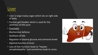 Liver
• Liver is large meaty organ which sits on right side
of belly.
• Contain gall bladder which is used for the
synthesis of bile juice.
• Functions
- Biochemical defense
- Synthesis of bile
- Regulator of plasma glucose and ammonia levels
- Optimal function of brain
• Loss of liver function leads to “hepatic
encephalopathy” and sometimes leads to coma.
 