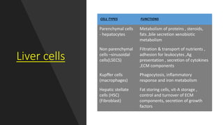 Liver cells
CELL TYPES FUNCTIONS
Parenchymal cells
- hepatocytes
Metabolism of proteins , steroids,
fats ,bile secretion xenobiotic
metabolism
Non parenchymal
cells –sinusoidal
cells(LSECS)
Filtration & transport of nutrients ,
adhesion for leukocytes ,Ag
presentation , secretion of cytokines
,ECM components
Kupffer cells
(macrophages)
Phagocytosis, inflammatory
response and iron metabolism
Hepatic stellate
cells (HSC)
(Fibroblast)
Fat storing cells, vit-A storage ,
control and turnover of ECM
components, secretion of growth
factors
 
