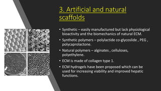 3. Artificial and natural
scaffolds
• Synthetic – easily manufactured but lack physiological
bioactivity and the biomechanics of natural ECM.
• Synthetic polymers – polylactide co-glycoslide , PEG ,
polycaprolactone.
• Natural polymers – alginates , celluloses,
polyethylene.
• ECM is made of collagen type 1.
• ECM hydrogels have been proposed which can be
used for increasing viability and improved hepatic
functions.
 