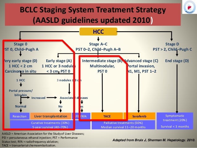 Liver Transplantation An Update