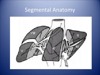 Segmental Anatomy
 