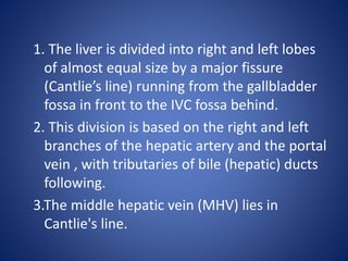 1. The liver is divided into right and left lobes
of almost equal size by a major fissure
(Cantlie’s line) running from the gallbladder
fossa in front to the IVC fossa behind.
2. This division is based on the right and left
branches of the hepatic artery and the portal
vein , with tributaries of bile (hepatic) ducts
following.
3.The middle hepatic vein (MHV) lies in
Cantlie's line.
 