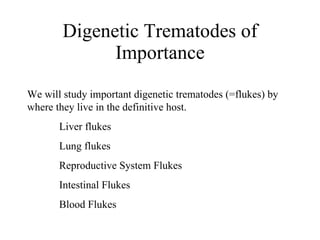 Digenetic Trematodes of Importance We will study important digenetic trematodes (=flukes) by where they live in the definitive host. Liver flukes Lung flukes Reproductive System Flukes Intestinal Flukes Blood Flukes 