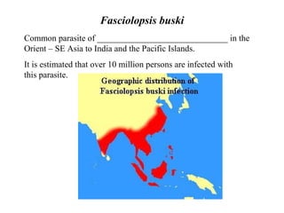 Fasciolopsis buski Common parasite of ______________________________ in the Orient – SE Asia to India and the Pacific Islands. It is estimated that over 10 million persons are infected with  this parasite.   