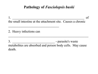 Pathology of  Fasciolopsis buski 1.  ____________________________________________  of the small intestine at the attachment site.  Causes a chronic _______________________________ 2.  Heavy infections can _________________________________________________ 3.  __________________________ - parasite's waste metabolites are absorbed and poison body cells.  May cause death. 