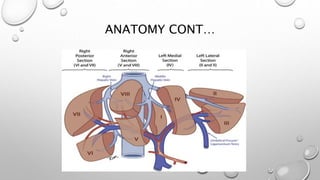 ANATOMY CONT… 
 
