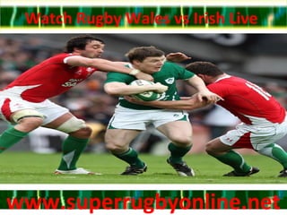 Watch Rugby Wales vs Irish Live
www.superrugbyonline.netwww.superrugbyonline.net
 