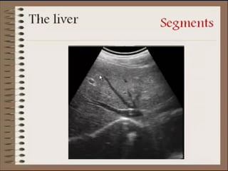 Liver Graph liver Ultrasonography powerpoint presentation .ppt