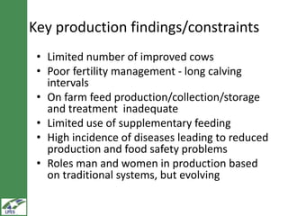 LIVES dairy value chain development: Distinguishing between fluid milk and butter channels  