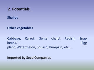 Potential-interventions in smallholder irrigated horticultural crops production value chain development in Ethiopia