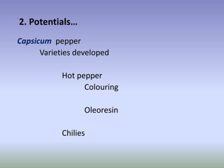 Potential-interventions in smallholder irrigated horticultural crops production value chain development in Ethiopia