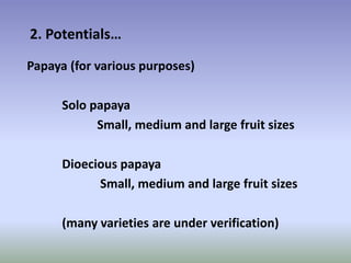 Potential-interventions in smallholder irrigated horticultural crops production value chain development in Ethiopia