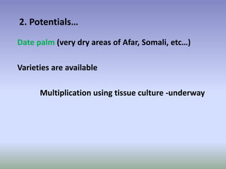 Potential-interventions in smallholder irrigated horticultural crops production value chain development in Ethiopia