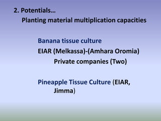 Potential-interventions in smallholder irrigated horticultural crops production value chain development in Ethiopia