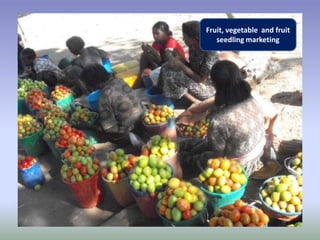 Potential-interventions in smallholder irrigated horticultural crops production value chain development in Ethiopia