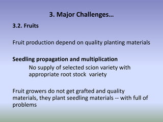 Potential-interventions in smallholder irrigated horticultural crops production value chain development in Ethiopia