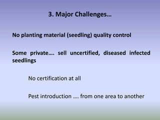 Potential-interventions in smallholder irrigated horticultural crops production value chain development in Ethiopia