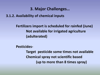 Potential-interventions in smallholder irrigated horticultural crops production value chain development in Ethiopia