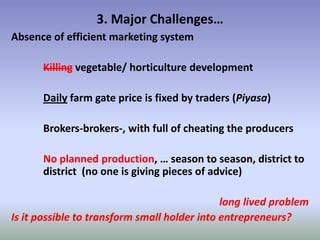 Potential-interventions in smallholder irrigated horticultural crops production value chain development in Ethiopia