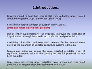 Potential-interventions in smallholder irrigated horticultural crops production value chain development in Ethiopia