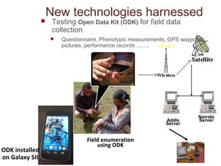 ILRI Ethiopia goat and chicken projects: Potential synergies with LIVES