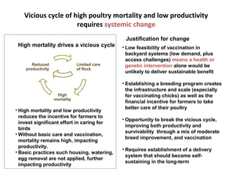 ILRI Ethiopia goat and chicken projects: Potential synergies with LIVES