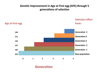 ILRI Ethiopia goat and chicken projects: Potential synergies with LIVES