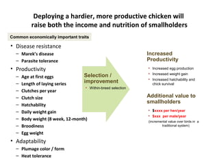 ILRI Ethiopia goat and chicken projects: Potential synergies with LIVES