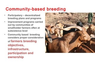 ILRI Ethiopia goat and chicken projects: Potential synergies with LIVES