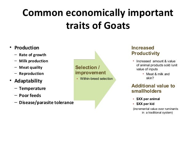 ILRI Ethiopia goat and chicken projects: Potential synergies with LIV…