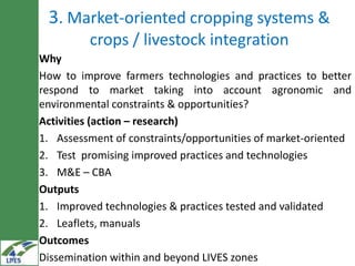 Irrigated agriculture: Areas of research for development in the LIVES project