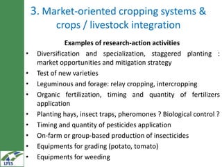 Irrigated agriculture: Areas of research for development in the LIVES project