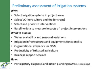 IWMI experiences on potential irrigated value chains development for the LIVES project