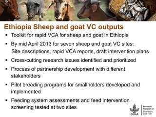 CGIAR Livestock and Fish Research Program: Potential synergies with LIVES project in Ethiopia