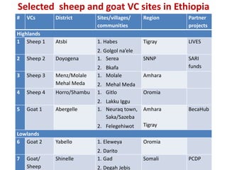 CGIAR Livestock and Fish Research Program: Potential synergies with LIVES project in Ethiopia