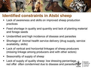 CGIAR Livestock and Fish Research Program: Potential synergies with LIVES project in Ethiopia