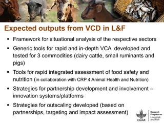 CGIAR Livestock and Fish Research Program: Potential synergies with LIVES project in Ethiopia
