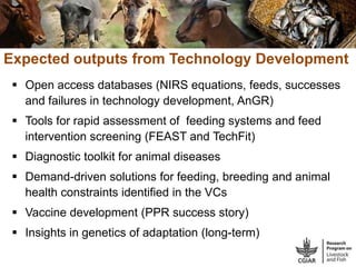 CGIAR Livestock and Fish Research Program: Potential synergies with LIVES project in Ethiopia