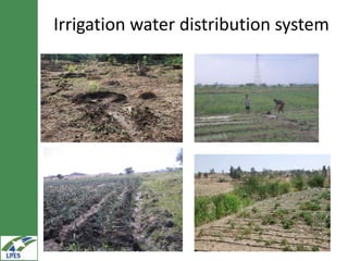 Potential irrigated crop value chain interventions for the LIVES project
