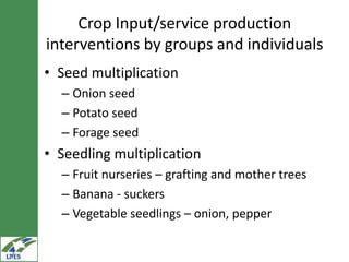 Potential irrigated crop value chain interventions for the LIVES project
