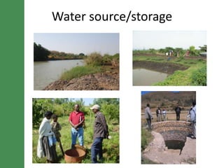 Potential irrigated crop value chain interventions for the LIVES project