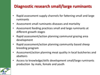 Potential livestock research areas in the LIVES project