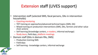 LIVES approach–Planning, implementation, documentation