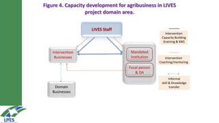 LIVES approach–Planning, implementation, documentation