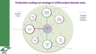 LIVES approach–Planning, implementation, documentation