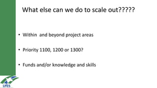 LIVES approach–Planning, implementation, documentation