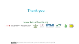 LIVES approach–Planning, implementation, documentation