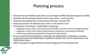 LIVES approach–Planning, implementation, documentation