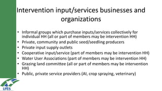 LIVES approach–Planning, implementation, documentation